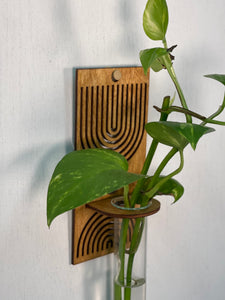 Rectangle Boho Propagation Vase