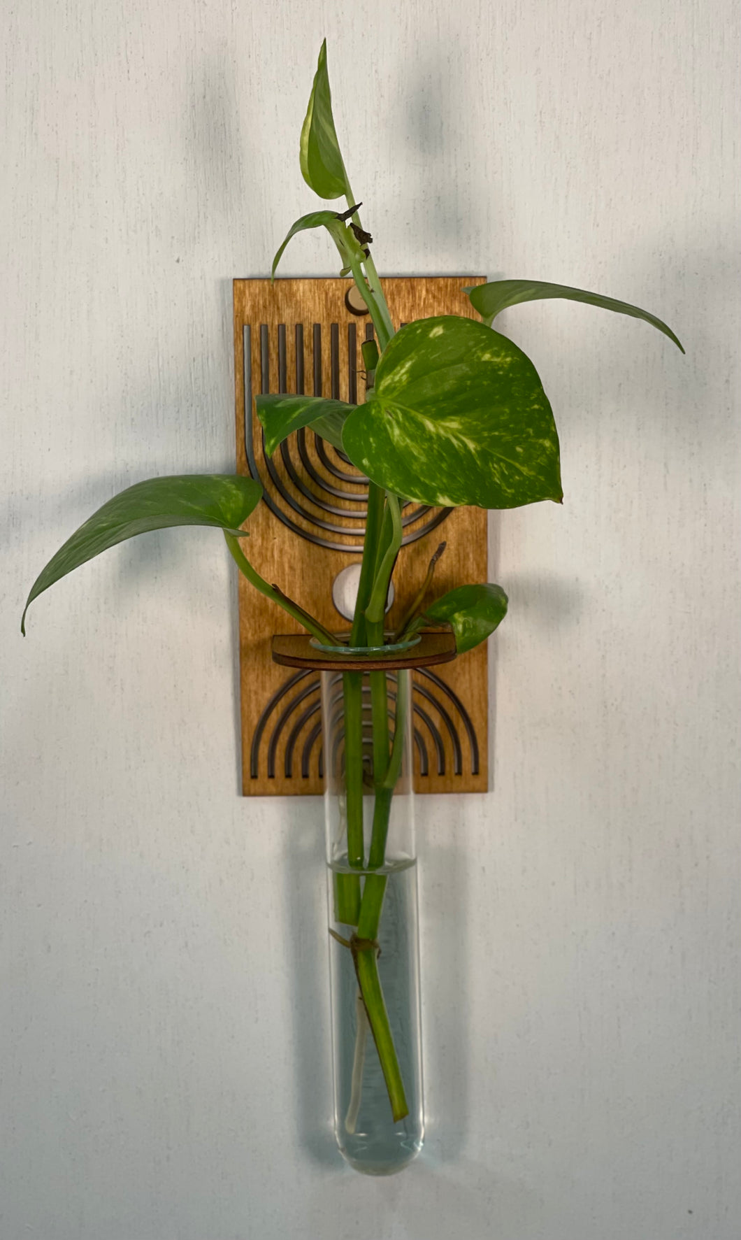 Rectangle Boho Propagation Vase