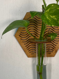 Hexagon Boho Propagation Vase