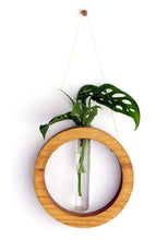 Load image into Gallery viewer, Propagation Vase Ring ( Golden Oak Finish )