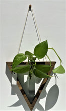 Load image into Gallery viewer, Propagation Vase Triangle ( Walnut Finish )