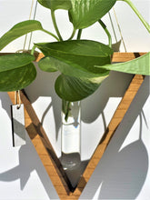 Load image into Gallery viewer, Propagation Vase Triangle ( Golden OakFinish )