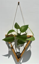 Load image into Gallery viewer, Propagation Vase Triangle ( Golden OakFinish )